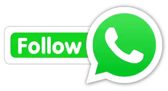 All New Rummy Store whatsapp